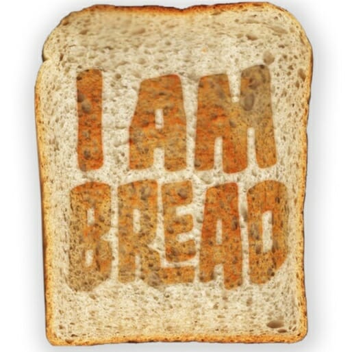 I Am Bread: The Tenacity of Toast