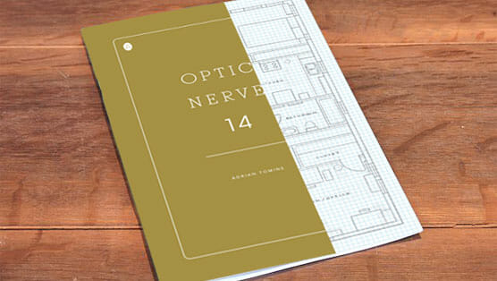 Optic Nerve #14 by Adrian Tomine