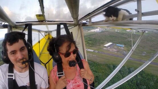 Video: Scaredy-Cat Flies on the Wing of a Plane