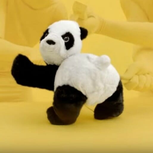 Watch A Panda Twerk in the New 