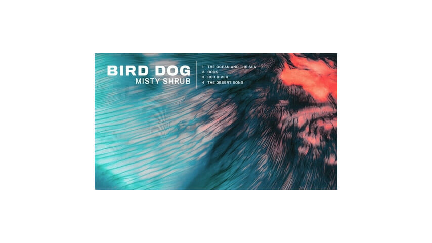 Bird Dog: Misty Shrub EP