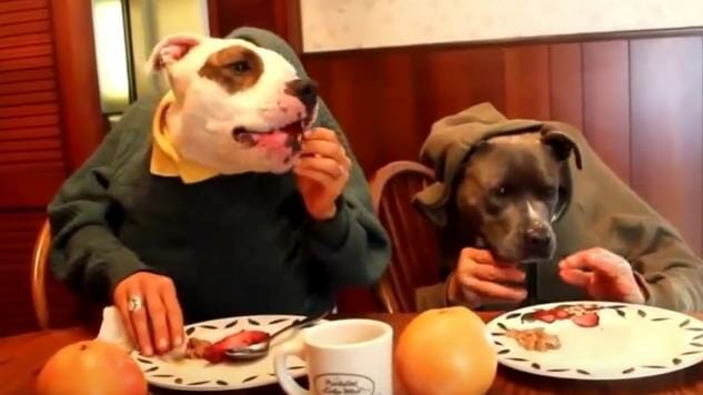 Table for Fido: 6 Restaurants Featuring Menus for Dogs