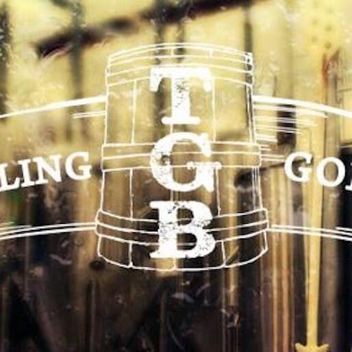 19 Questions for Toppling Goliath