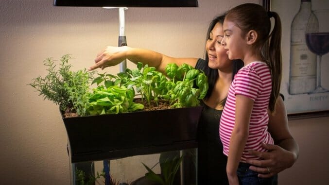 Kickstarter Weekly: Turn Your Aquarium Into a Garden, PROOF Your Adventures and More