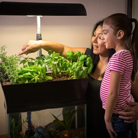 Kickstarter Weekly: Turn Your Aquarium Into a Garden, PROOF Your Adventures and More