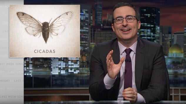 John Oliver Sums Up the Last 17 Years for Cicadas
