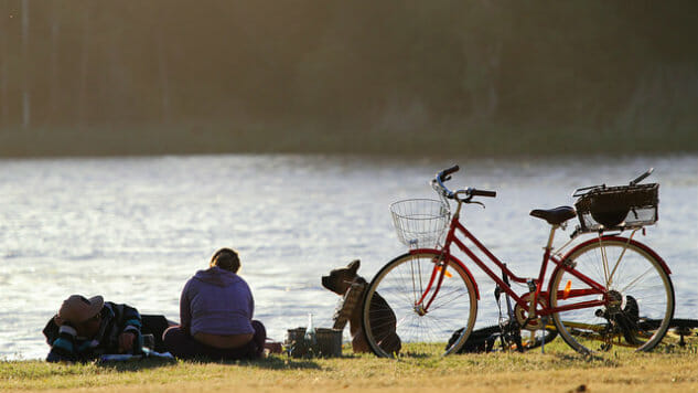 10 Must-Haves for a Perfect Bike Picnic