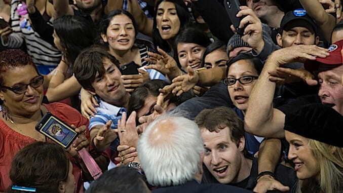 Bernie Sanders Supporters Are Mad Dogs, and Mad Dogs Must Be Put Down