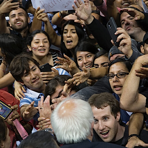 Bernie Sanders Supporters Are Mad Dogs, and Mad Dogs Must Be Put Down