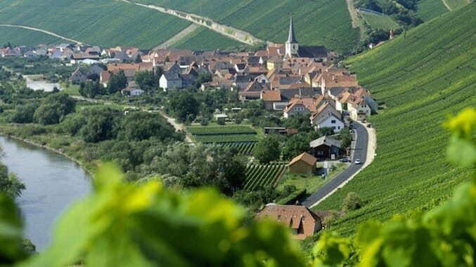 Everything You Need To Know About German Wine