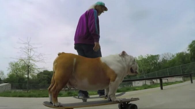 Watch J Mascis Skate With His Dog In New Dinosaur Jr. Video
