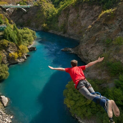 Off The Grid: The Best of New Zealand