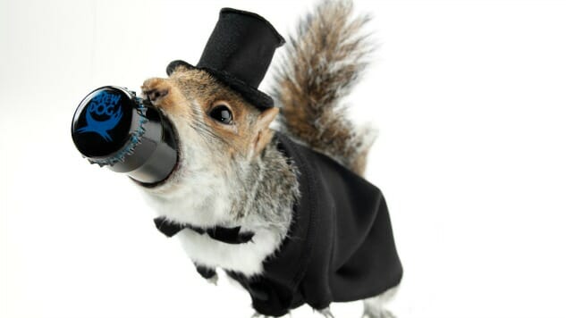 Brewdog Plans To Bottle a 55% Beer in a Taxidermy Squirrel