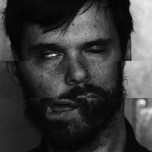 Dirty Projectors Share 