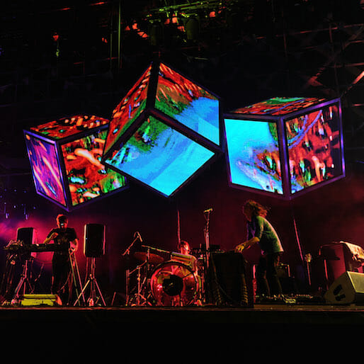 Watch Animal Collective Play 