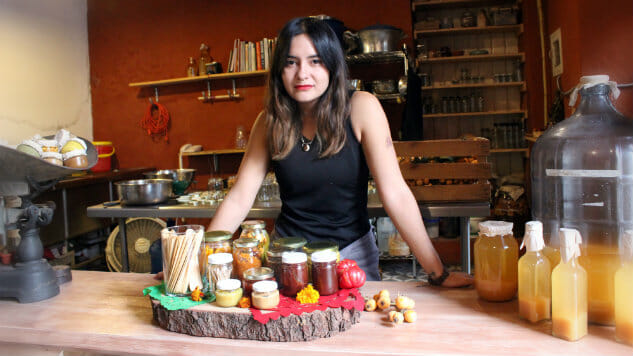 Suculenta Brings Rare Pickles to Oaxaca
