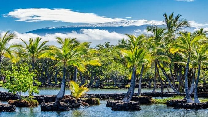 Checklist: Western Big Island, Hawaii