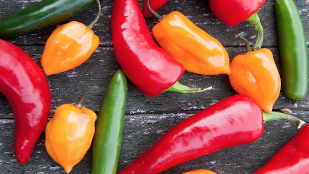 Some Like It Hot: The Chile Pepper Bible