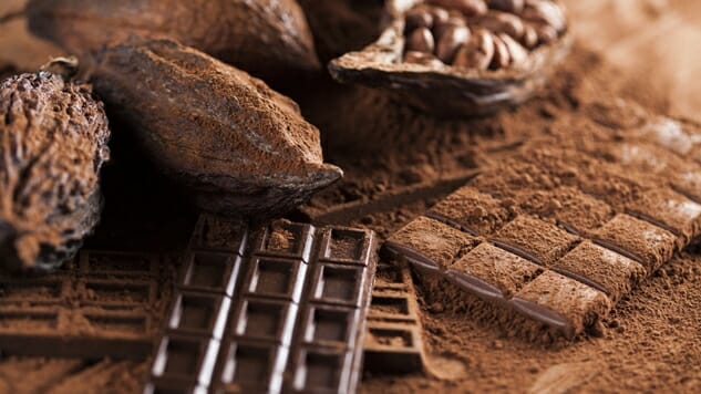 Tales from the Budding Craft Chocolate Industry