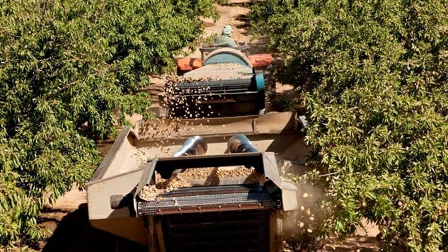 The Billion-Dollar California Almond Industry’s Blossoming Future