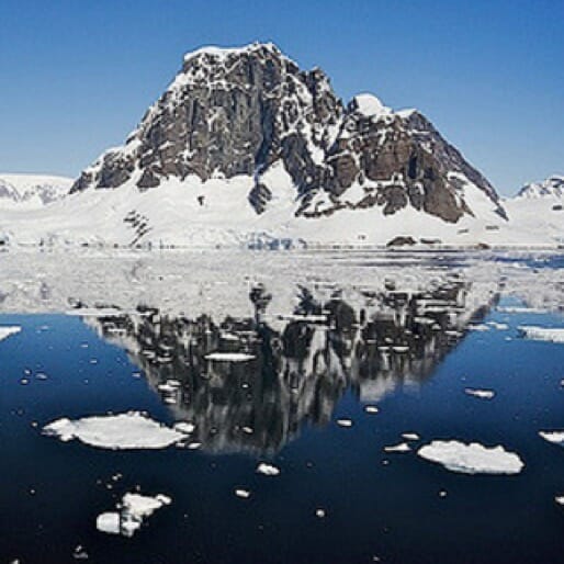 Warming Signs: Is Climate Change to Blame for Antarctica's Meltdown?