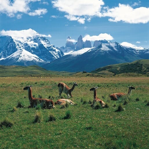 Take 5: Torres del Paine National Park in One Day