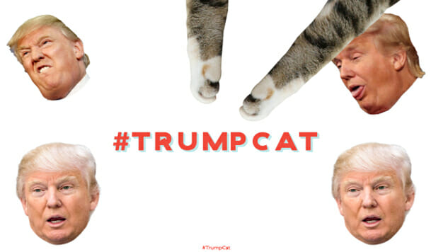 The Trump Organization Went After a 17-Year-Old’s Cat Parody Website