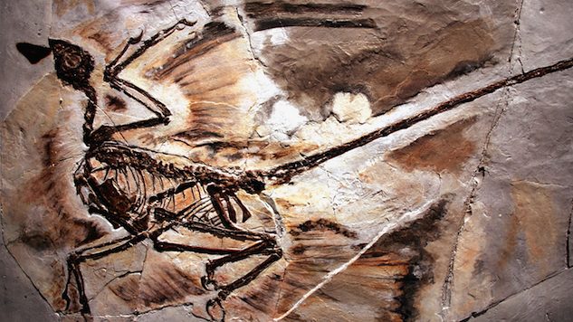 Dinosaurs Have Been Around Longer Than We Thought—About 15 Million Years Longer