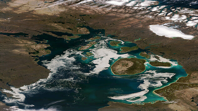 Phytoplankton Thrive In Warmer Arctic Seas