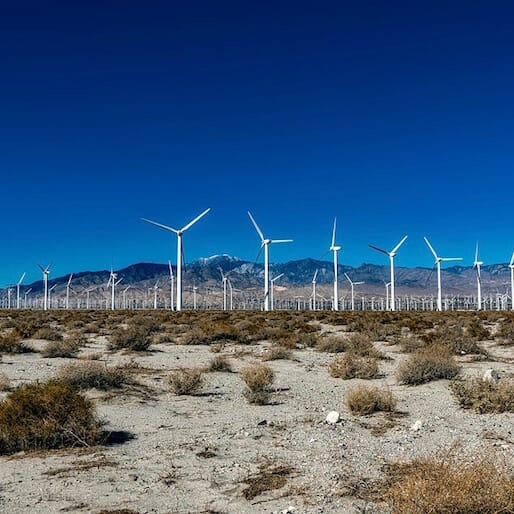 Have Wind Farms Finally Come of Age?