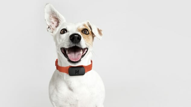 Smart Collar, Nuzzle, Lets You Track Your Pet from Anywhere in the World