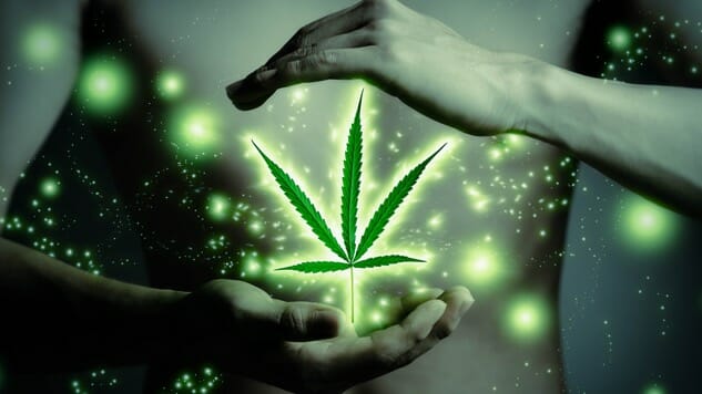 Cannabis Connection: The Gateway Drug Theory You’ve Never Heard