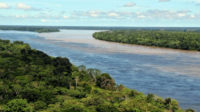 EarthRx: The Amazon Is Not a Wilderness, It’s an Advanced Permaculture Food Forest