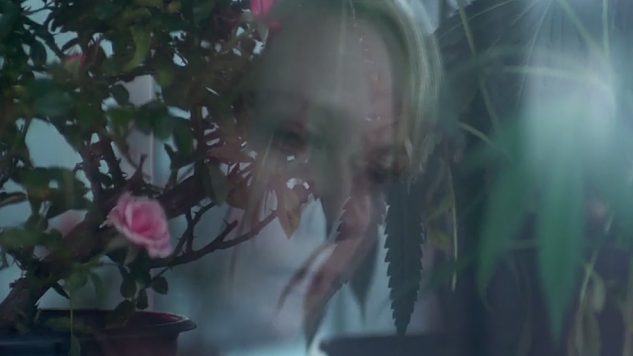 Kirsten Dunst Is Lost in a Haze in the Gorgeous First Trailer for A24’s Woodshock