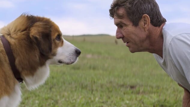 Thanks to Massive Success in China, A Dog’s Purpose Is Reportedly Getting a Sequel