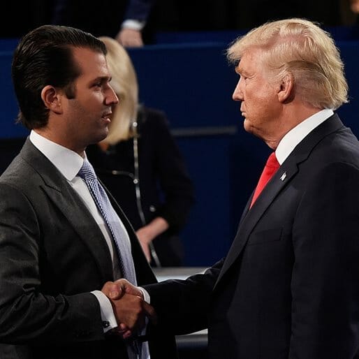 Donald Trump's Twitter Changed in One Crucial Way the Day His Son Met with Kremlin Lawyer