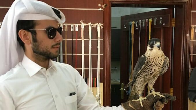 Qatar’s Fascinating Fixation With Falcons
