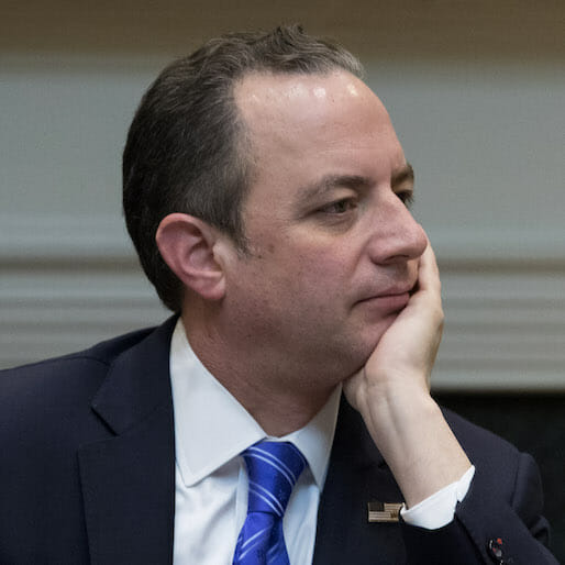 Reince Priebus Uses First Cabinet Meeting to Thank Trump For 