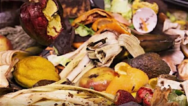 Wasted!: The Story of Food Waste