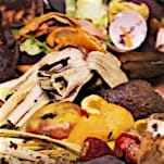Wasted!: The Story of Food Waste