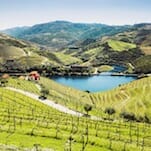 52 Wines in 52 Weeks: Understanding Wines of the Douro Valley