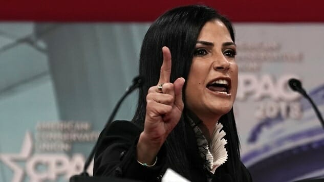NRA Spokesperson Dana Loesch Begged a Producer to Star in Sitcom as “Hot Young Mom Who Does Far-Right Radio”