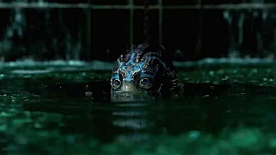 best picture shape of water