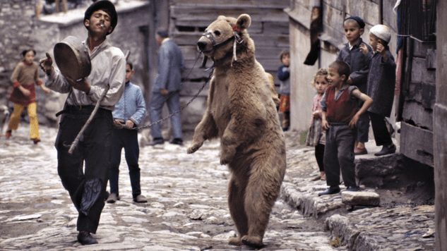 Witold Szablowski’s Dancing Bears Reveals That People Are Nostalgic for Tyranny
