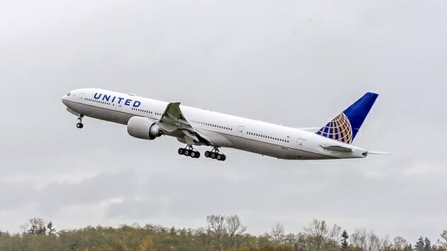 Puppy Dies During Flight After a United Airlines Flight Attendant Forced It Into an Overhead Bin