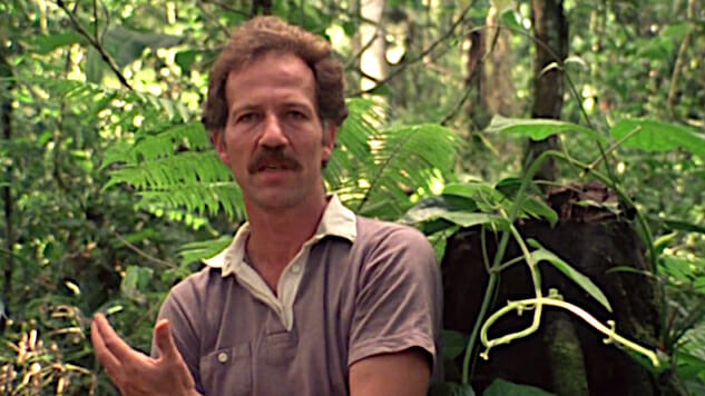 Werner Herzog Is Heading to Television for the First Time and Back Into the Amazon for the Third Time