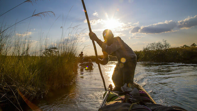 National Geographic’s Stunning Into the Okavango Shows It’s Not Too Late to Save the Planet