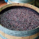 Wine of the Week: Carignan is a Heritage Grape that Might Withstand Global Warming