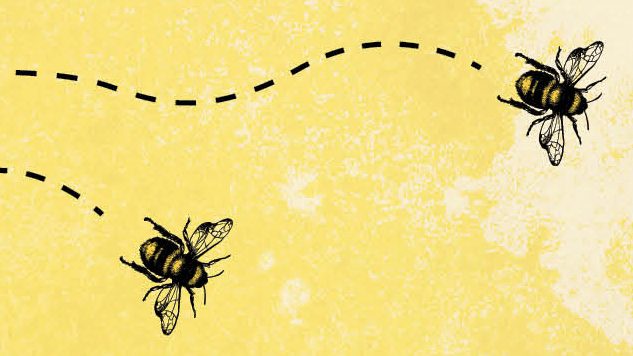 Exclusive Cover Reveal + Excerpt: Candice Montgomery Tackles Gentrification and Beekeeping in By Any Means Necessary