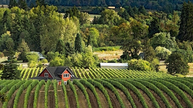 Your Guide to the Wineries of Willamette Valley